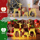 3-Piece Lighted Christmas Reindeer Family Set Outdoor Decorations, Weather Proof 2D Deer Family Set 95517130