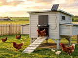 Solar Powered Automatic Chicken Coop Door with 4 Control Modes Light Sensor Timer Remote Manual, 62428970