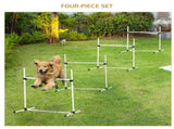 Dog agility training equipment 09757927