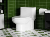 1.28 GPF Side-Single-flush One Piece Toilet, Water-Saving Elongated Comfort Height Floor Mounted, W3192P277906