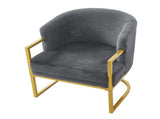 Modern Accent Chair Cozy Armchair Upholstered Reading Chair with Gold Metal Frame Living Room, N763P360688E