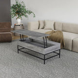 T1105-05 Gray Lift Top Coffee Table B009140752