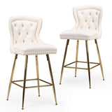 Bar Stools Set of 2, Velvet Counter Height Bar Stools with Metal Legs, Button Tufted and Nailheads T3623P363044