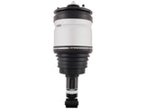 Rear Air Spring Suspension Shock Fit For Land Rover Discovery LR3 / All, with air susp. 25244562