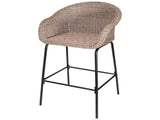 Ladd Outdoor Metal Wicker Barstool, Light Brown Faux Wicker, Set of 2 N775P277558B