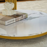 ZUN 28.35 inches Round Coffee Table, Small Coffee Table with Storage, Faux Marbling Top & Sturdy Metal W1765P143341