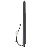 Fits for Hyundai Palisade 3.8L 2020-2022 Driver Left Trunk Lift Strut Shock 81831-S8100 38785499