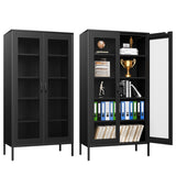 73 inches high metal storage cabinet with 2 wire mesh doors, suitable for homes, offices and dining T3421P312389