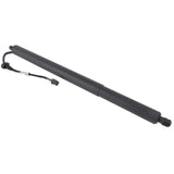 Fits for Hyundai Palisade 3.8L 2020-2022 Driver Left Trunk Lift Strut Shock 81831-S8100 38785499