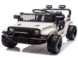24V Kids Ride on Car W/Parents Control,Four-wheel suspension,2WD,Power W1578P235083