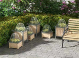Crop Cage /Garden Cloches 11047825