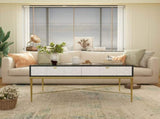 Modern Black and White Coffee Table with 2 Drawers, Living Room Storage Table T3609P347453