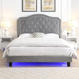 Upholstered Bed Button Tufted with Curve Design - Strong Wood Slat Support - Easy Assembly - Light W2297P268386