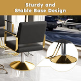 Hydraulic Salon Chair - 360&deg Swivel Barber Stylist Chair with Pump, Non-Tilting Hairdressing Chair W2700P318173