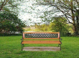 49" Garden Bench Patio Porch Chair Deck Hardwood Cast Iron Love Seat Weave Style Back 41635196