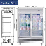 54"W Commercial Refrigerator 2 Section 2 Glass Door Stainless Steel Display Refrigerator 42.2 Cu.ft. N818P191851S