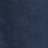 Tufted Back Upholstered Dining Chair B062P153698