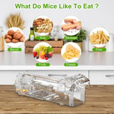4Pcs Humane Live Mouse Trap Reusable Rat Rodent Trap Catch Release Cage Safe for Family Children 99342891