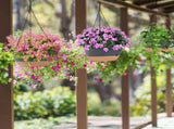 4 Pcs Minimalist Style Hanging Planters with 9.64-inch Diameter, Drainage Holes, and Removable 03039194