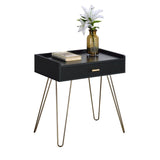Hailey Black and Gold Wood Storage End Table T2574P164785