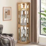 Corner Glass Cabinet Lighted Curio Cabinet Corner Display Case for Living Room, Curio Cabinet, W2275P194430
