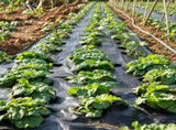 6x100FT Heavy Duty Weed Barrier Landscape Fabric, Woven PP Geotextile Ground Cover for Driveways & 27218791