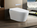 Tankless Smart Toilet With Bidet Built In, One-piece Bidet Toilet Seat, Auto Flush,Heated Seat, Warm T5879P506526