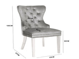 Erica 2 Piece Stainless Steel Legs Chair Finish with Velvet Fabric in Light Gray 808857825940