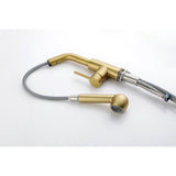 Single Handle Kitchen Sink Faucet with Pull Out Sprayer W2287P154031