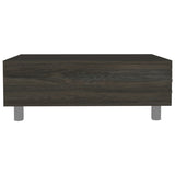 ZUN Boston Lift Top Coffee Table B128P148665