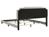 Beige Queen Panel Bed with Nailhead Trim B062P153557