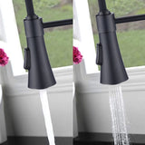 Commercial Kitchen Sink Faucet with Deck Plate Matte Black JYD0675MB