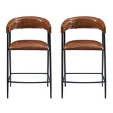 ZUN 26'' Counter Stools Set of 2, Pu Upholstered Counter Stools with iron Frame, Backrest, Footrest, Arm N780P199985B