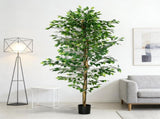 Artificial Plant/Green plants 18700852