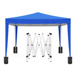 ZUN 10'x10' Folding Canopy with 4 Removable Sidewalls Outdoor Event Shelter UPF 50+ Gazebo Portable W2185P194752