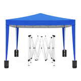 ZUN 10'x10' Folding Canopy with 4 Removable Sidewalls Outdoor Event Shelter UPF 50+ Gazebo Portable W2185P194752