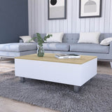 ZUN Boston Lift Top Coffee Table B128P148668