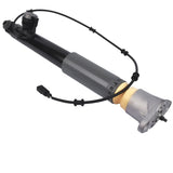 Rear Left Shock Absorber Strut with Electric Fits for Hyundai Equus 2011-2016 Genesis 2007-2016 01521746