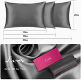 ZUN Lacette Silk Pillowcase 2 Pack for Hair and Skin, 100% Mulberry Silk, Double-Sided Silk Pillow Cases 87898501