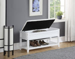 ZUN Rouen Seating Bench with Shoe Storage, White T2574P164221