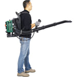 ZUN 2-STROKE BACKPACK LEAF BLOWER,GAS 63.3cc,3.6HP 750CFM W46551395