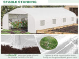 Portable Outdoor Plant House Greenhouse 12180386