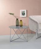 Epidia Gray color Display & Utility Accent Table B2726P243243
