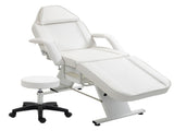 Massage Salon Tattoo Chair with Two Trays Esthetician Bed with Hydraulic Stool,Multi-Purpose W1422P541165