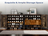 2-Door Barn Door Shoe Cabinet Made of Triamine Particleboard Black Square Shoe Cabinet with 73502453