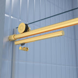 Glass shower door, sliding door, soft close system, with 5/16" tempered glass and Brushed Gold W2122P225223