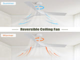 52 Inch Ceiling Fan Without Light, with Remote Control 6 Speed Quiet Reversible DC Motor W934P156666
