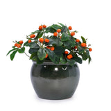 3 Pieces Ceramic Flowerpot, Modern Planter for Patio, Garden or Windowsills - Antique Blue Green W3273P321543