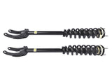 Set of 2 Front Shock Strut Coil Spring Assys Fit for Mercedes-Benz W166 C292 ML500 GLE400 1663232400 95769204
