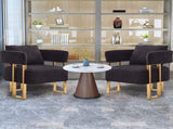 TS Modern decorative chair, living room side chair with gold metal legs, no wheels, suitable for 64040358